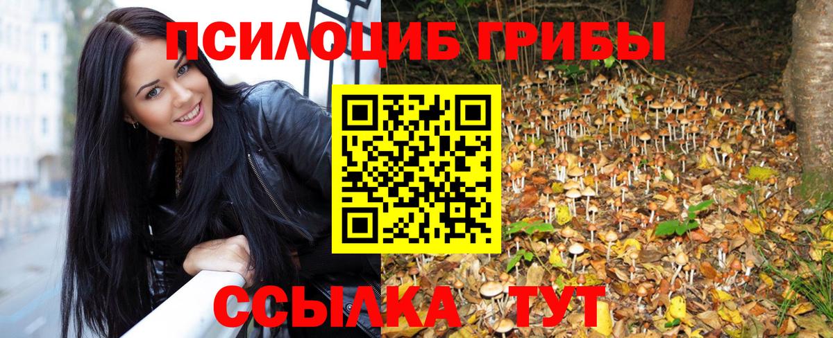 Псилоцибиновые грибы Cubensis  Вход с VPN  Татарск 